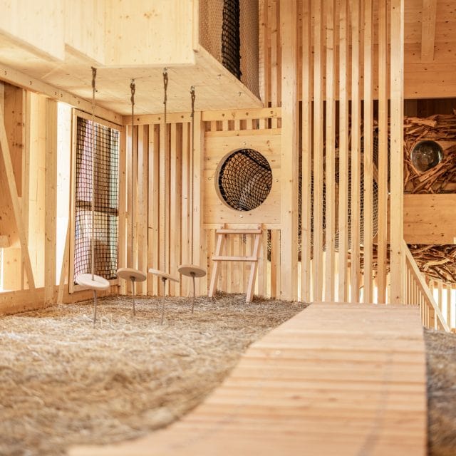 almi opolis detailansicht heuboden mit kletterparkour und vogelnest