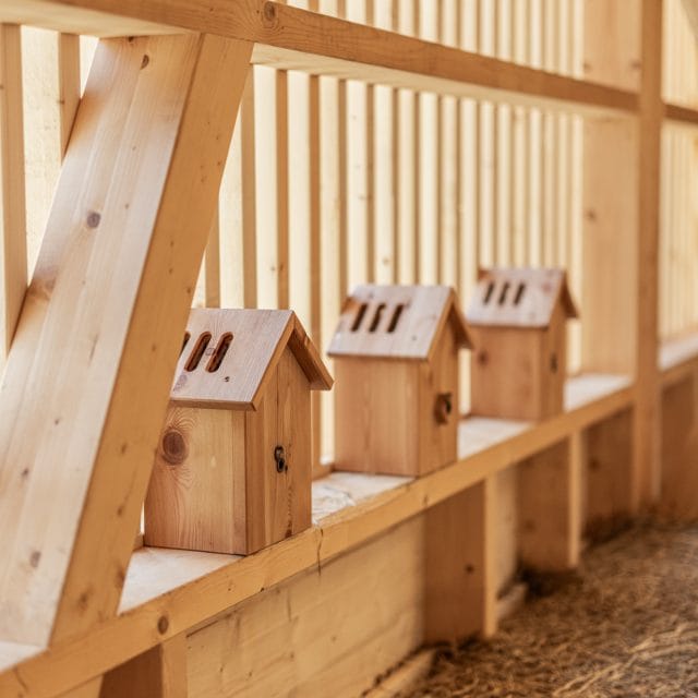 almi opolis detailansicht vogelhäuschen innen
