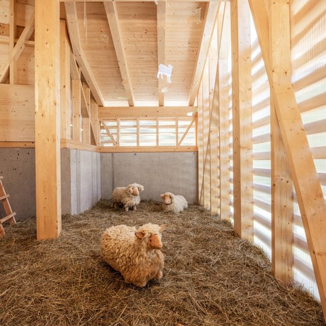 almi opolis schafstall